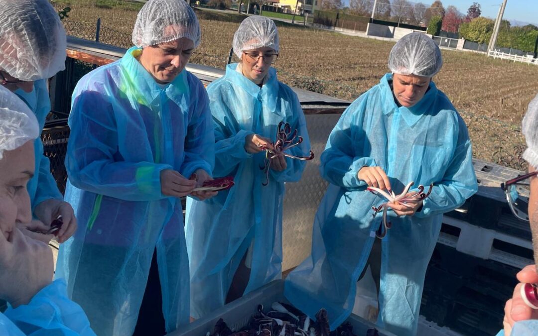 TeBiCE Study Visit in Bolzano and Padova, November 5-6, 2025