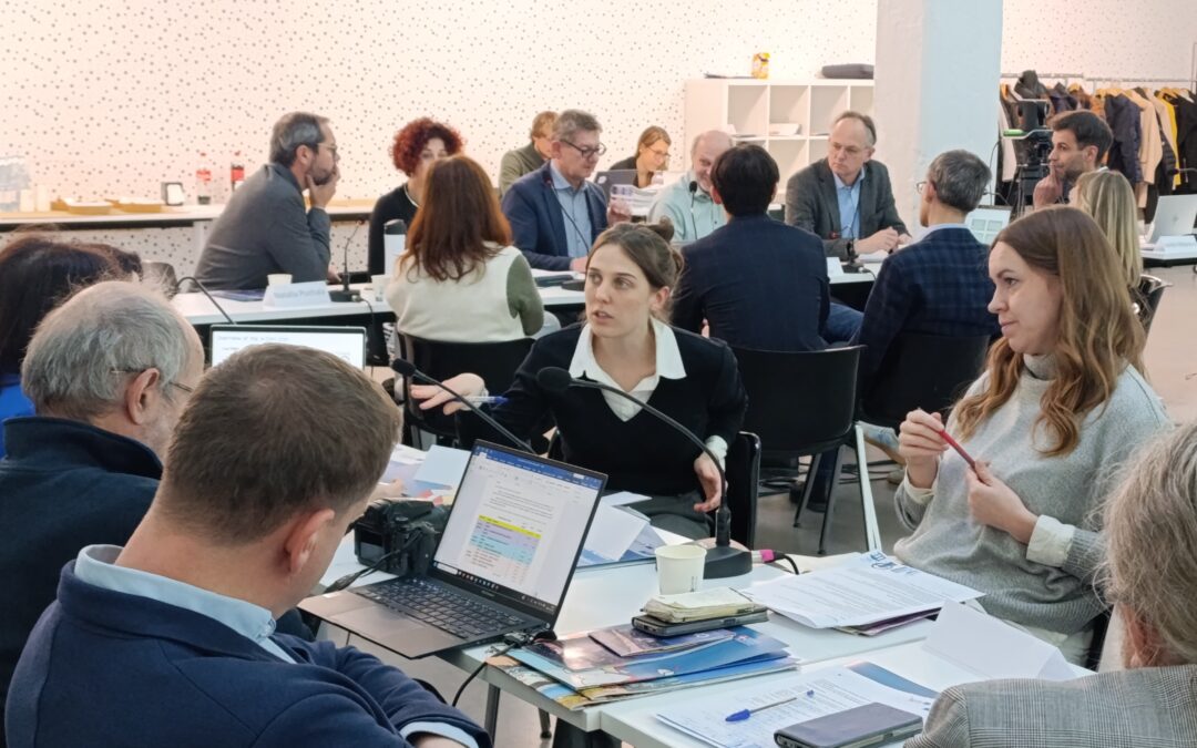 Shaping the future of metropolitan cooperation: Strategy and Action plans