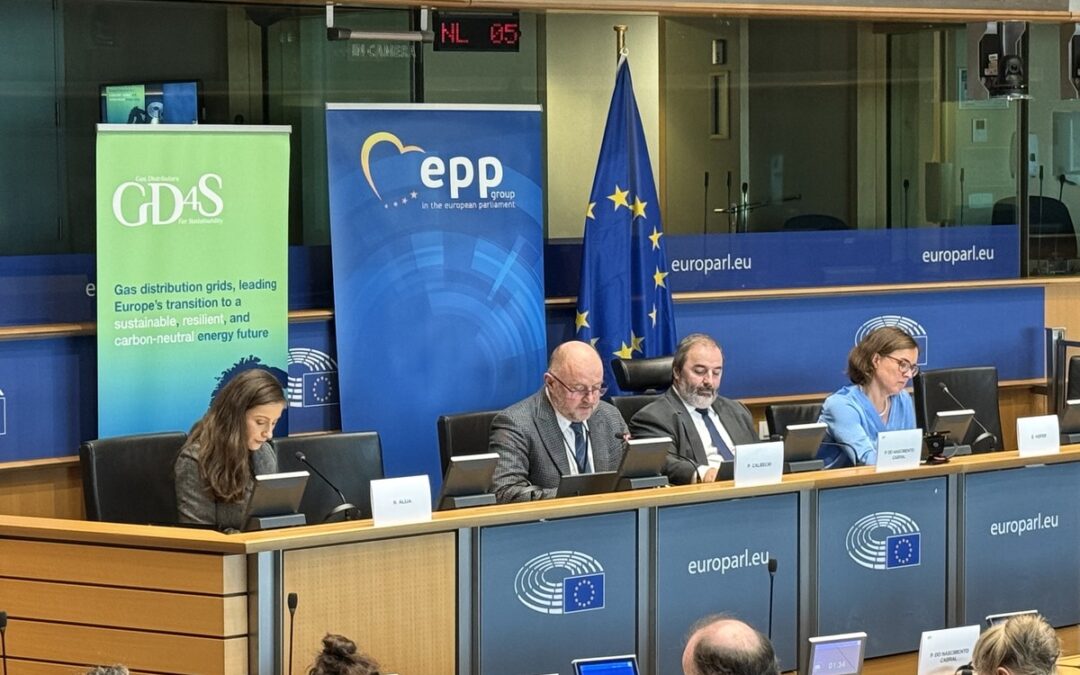 Biomethane – A Green Alternative and an Opportunity for Agriculture