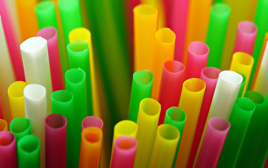 Austria’s Path to a Circular Future: Key Initiatives Transforming Plastic Use and Recycling