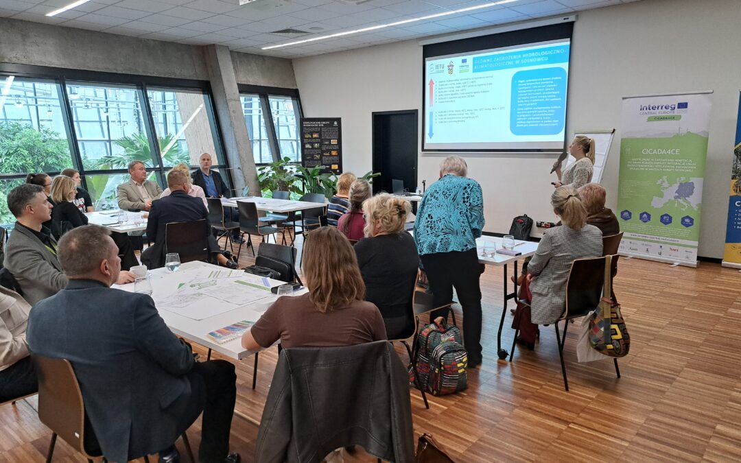 Sosnowiec advances its Urban Living Lab within the CICADA project