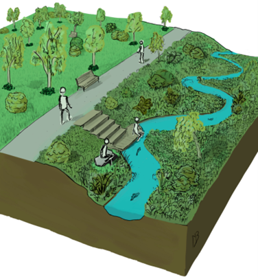 Urban stream revitalization.png