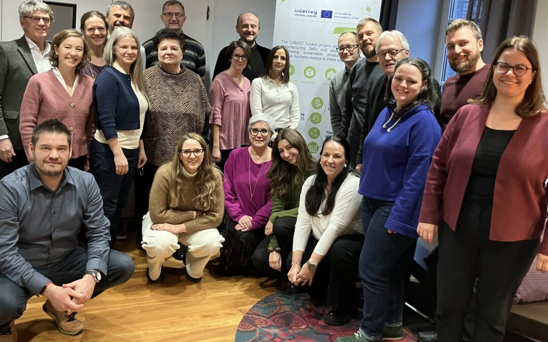 CURIOST project meeting #4 in Linz