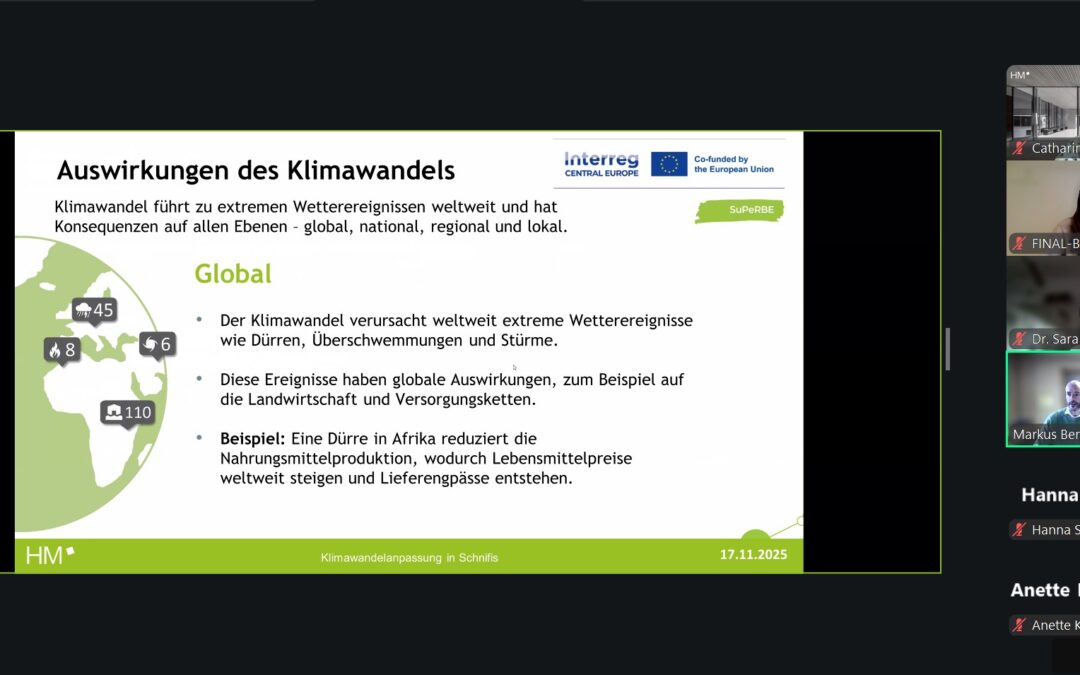 Training Workshop 2: Applying the SuPeRBE Tools for Local Risk Assessment