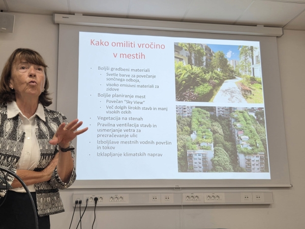 Expert meeting  – City of Kranj (SI)