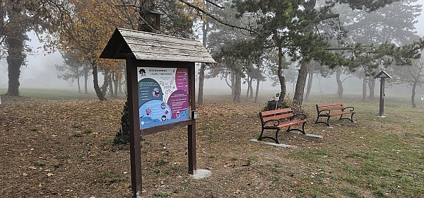 Meeting of the URBIO BAUHAUS team – Érd (HU)