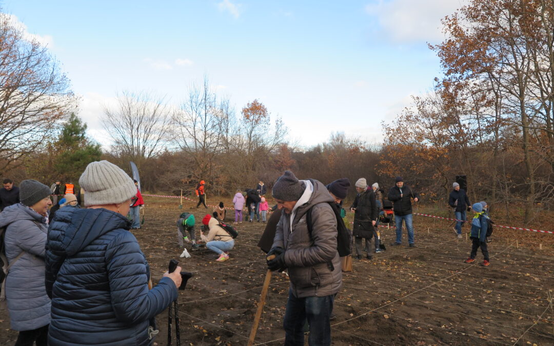Gdańsk Plants an “Electric Forest” – 250 Oaks for Recycling 250 Tonnes of E-Waste