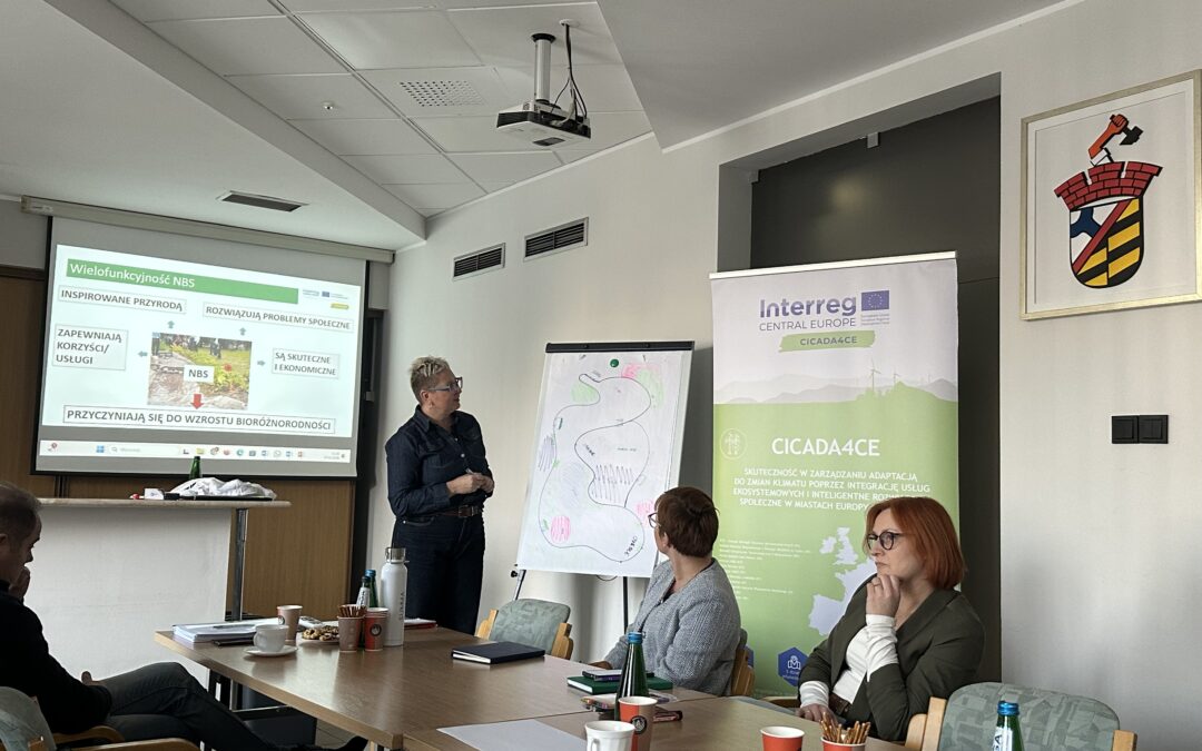 Climate Action in Practice: Training on Urban Green Tools in Sosnowiec