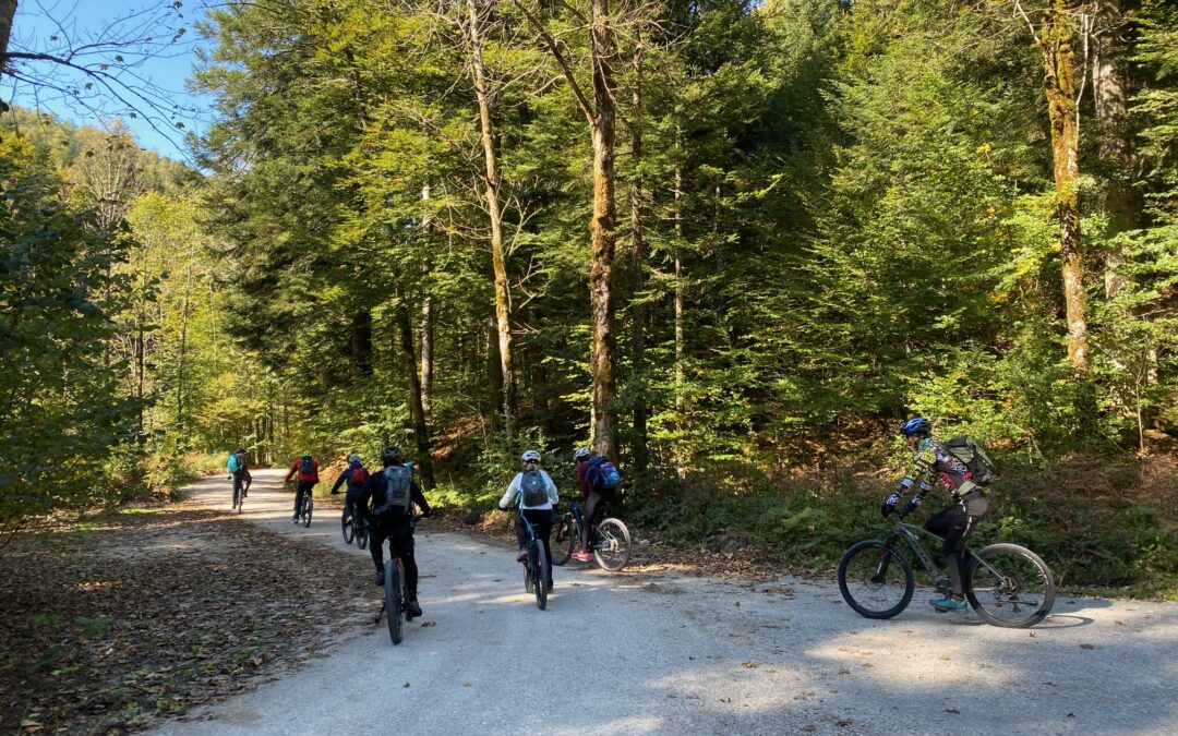 Stakeholder meeting/ Cycling tour in Slovenia