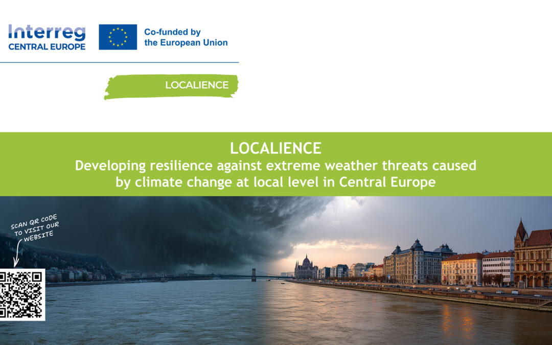 The LOCALIENCE Closing Conference