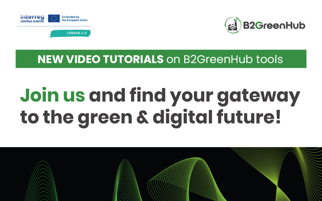 Discover New Video Tutorials to Get the Most Out of B2GreenHub Platform Tools