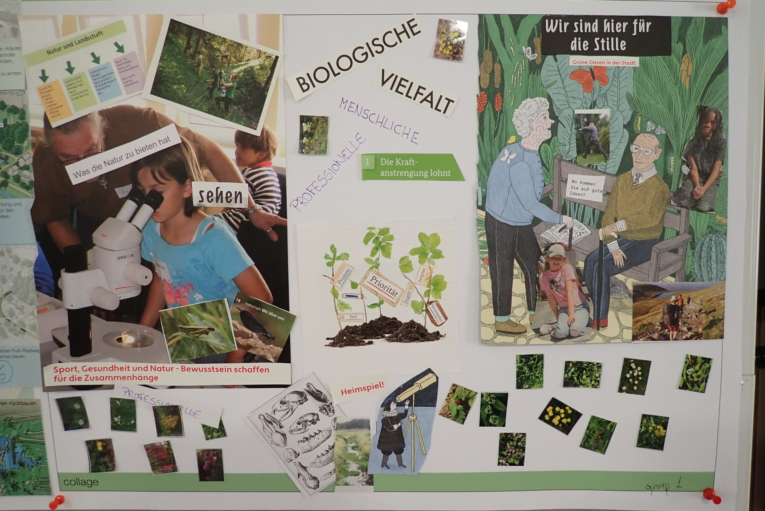 Collage made by participants of the Dresden co-design workshop
