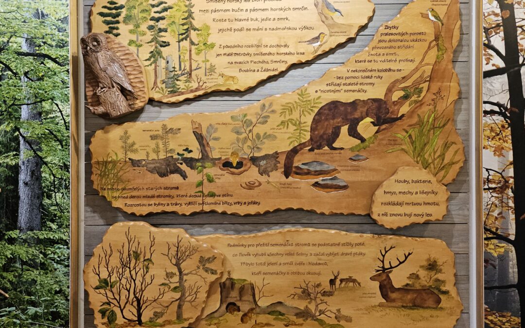 HUMANITA – Innovative mechanism for the development of a ‘common heritage’ narrative