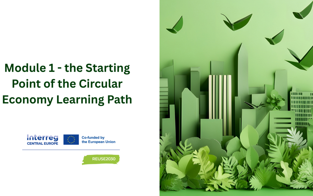 Capacity building programme: Module 1 as the Starting Point of the Circular Economy Learning Path