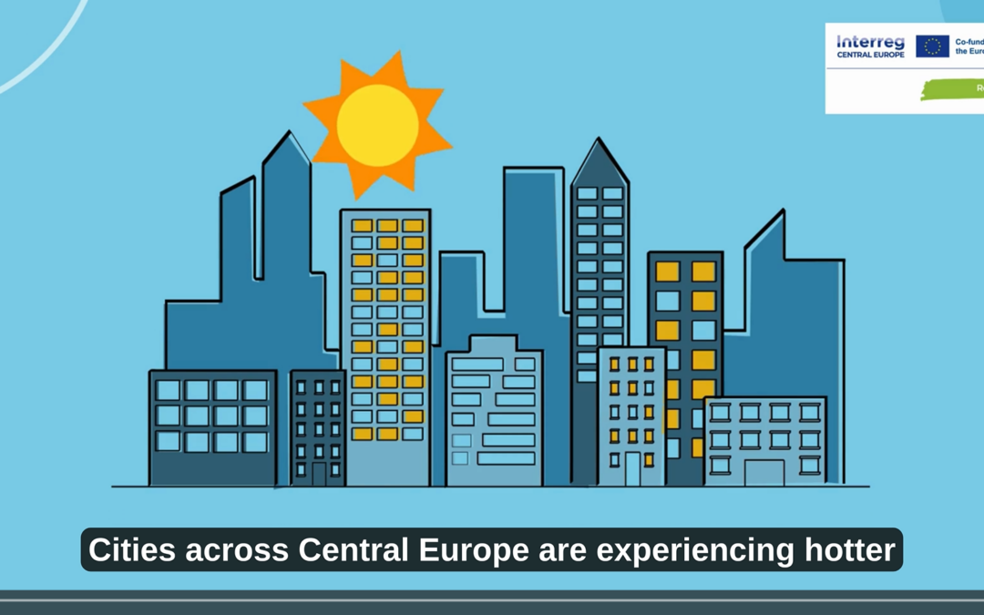 Lessons learned: Webinar and Video showcases local heat resilience in municipalities