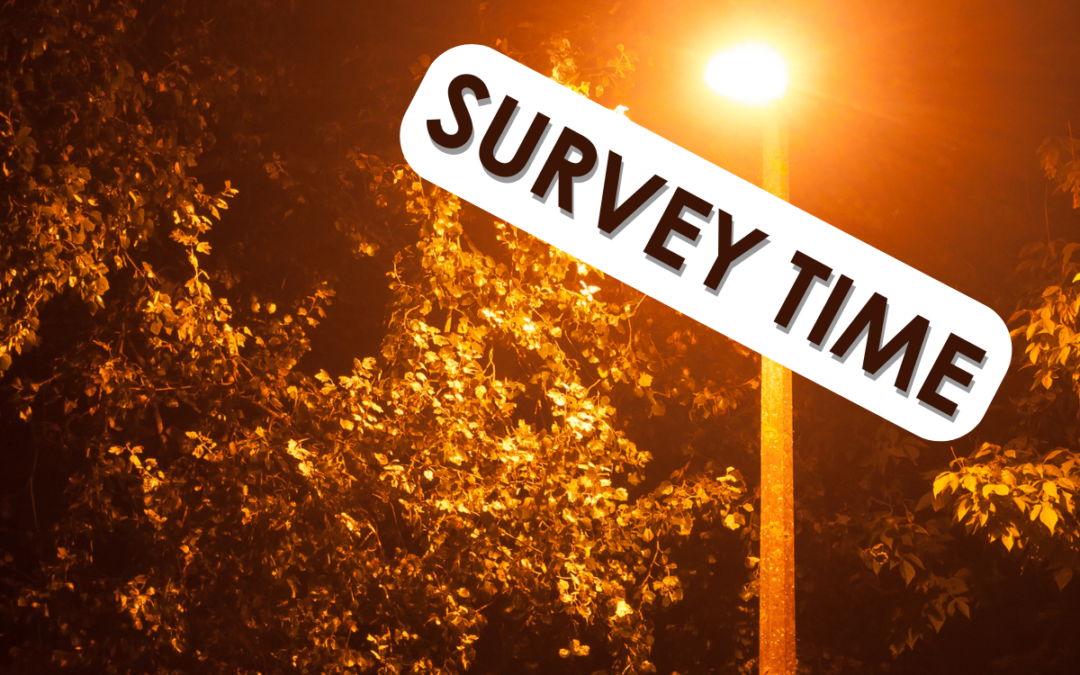 Help us measure change: take part in the light pollution survey