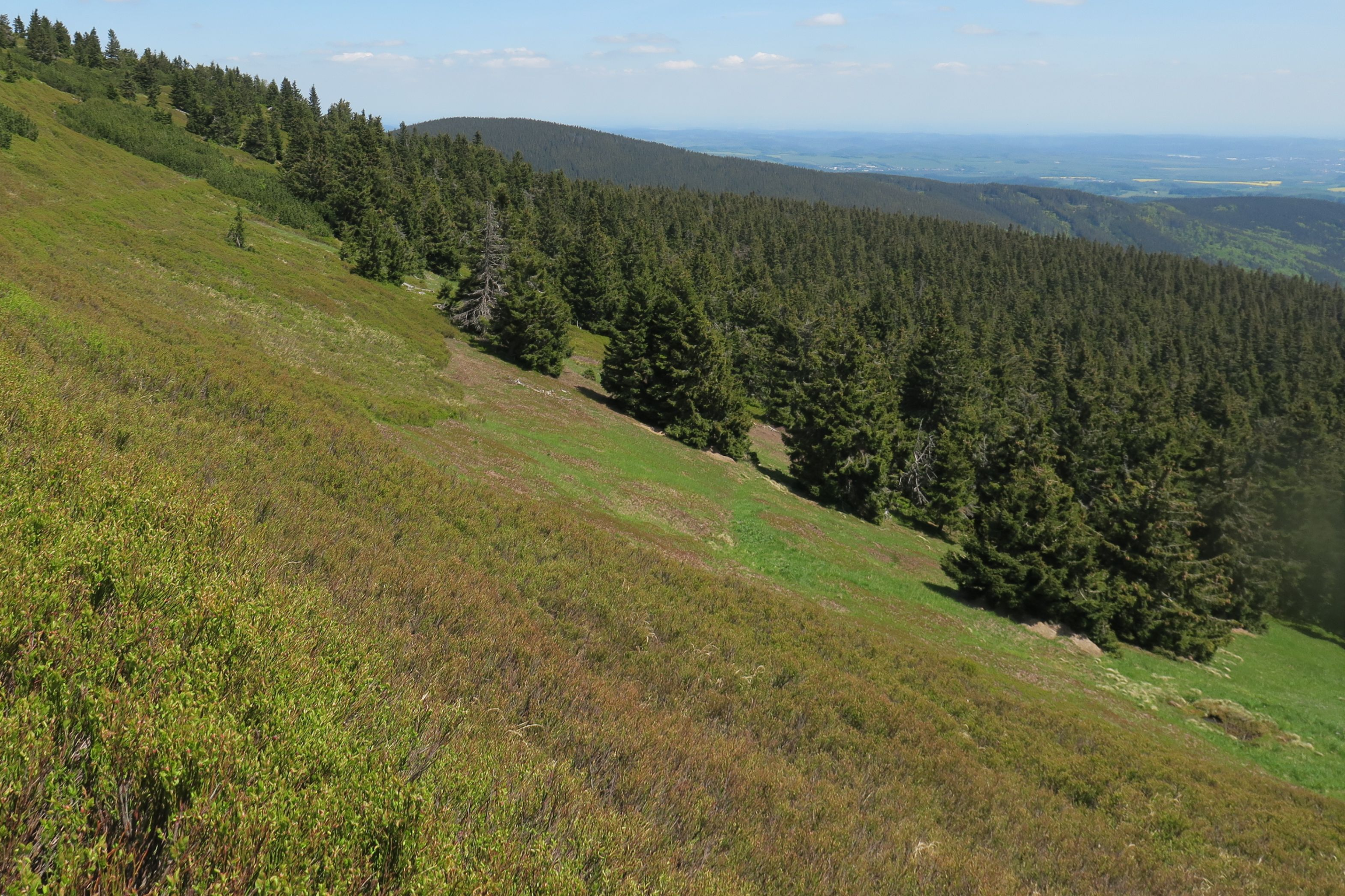 © Bojana Lipej - DOPPS