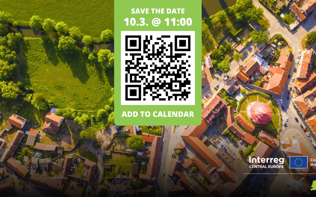 Public Webinar: How Small and Medium Cities Can Build Smarter Public Transport Systems