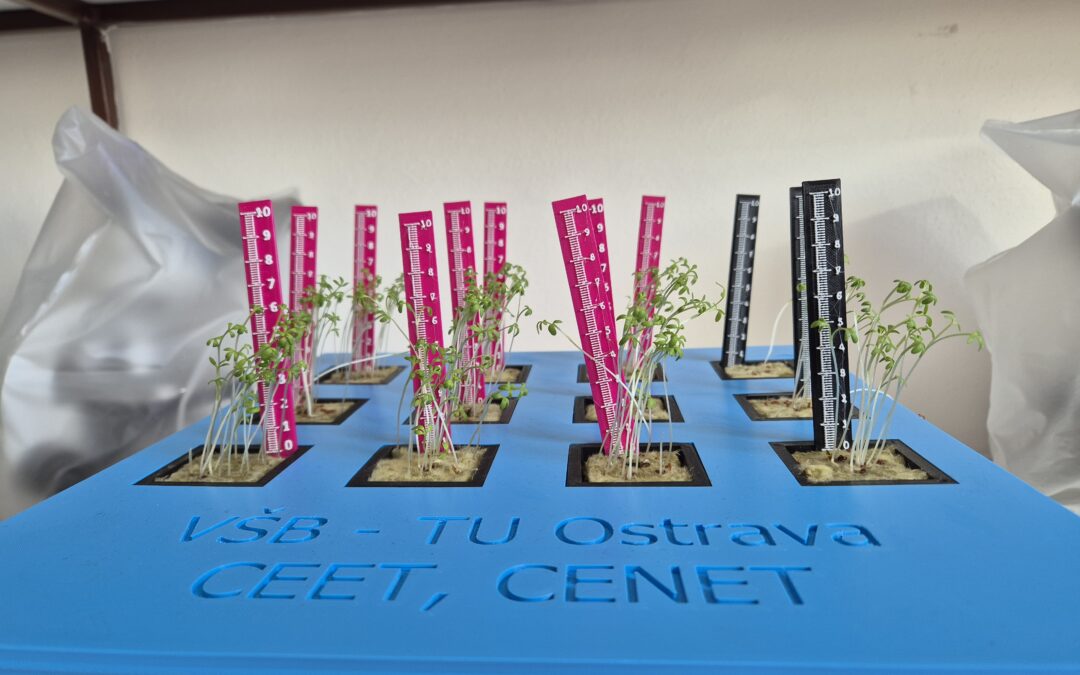 Hydroponic system in action – foodCIRCUS at Rožnov gymnasium.