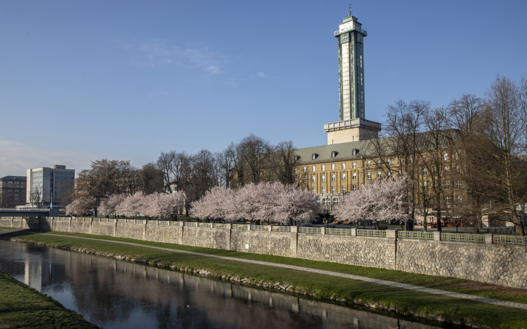 Action Plan for strengthening metropolitan cooperation in the Ostrava Metropolitan Area