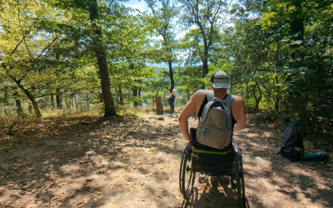 Spaces4All Joint Strategy now available as video tutorial!