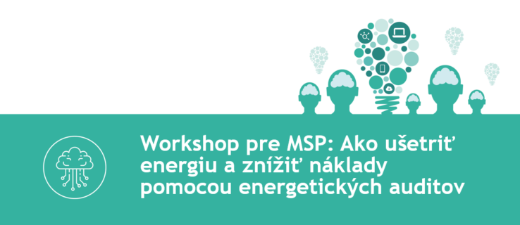 Workshop for SMEs: How to save energy and reduce costs through energy audits