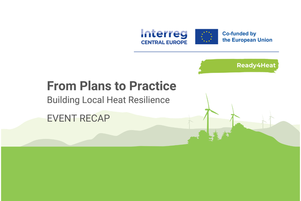 Final Webinar Outcomes: From Plans to Practice – Building Local Heat Resilience