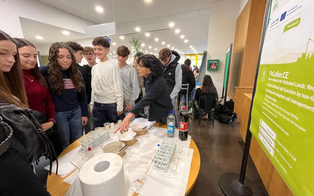 PoLaRecCE disseminated in the 22nd Annual Conference, “The Language of Research”