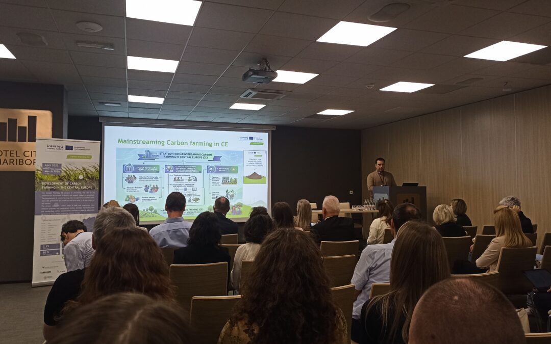 Cooperation and learning from other projects