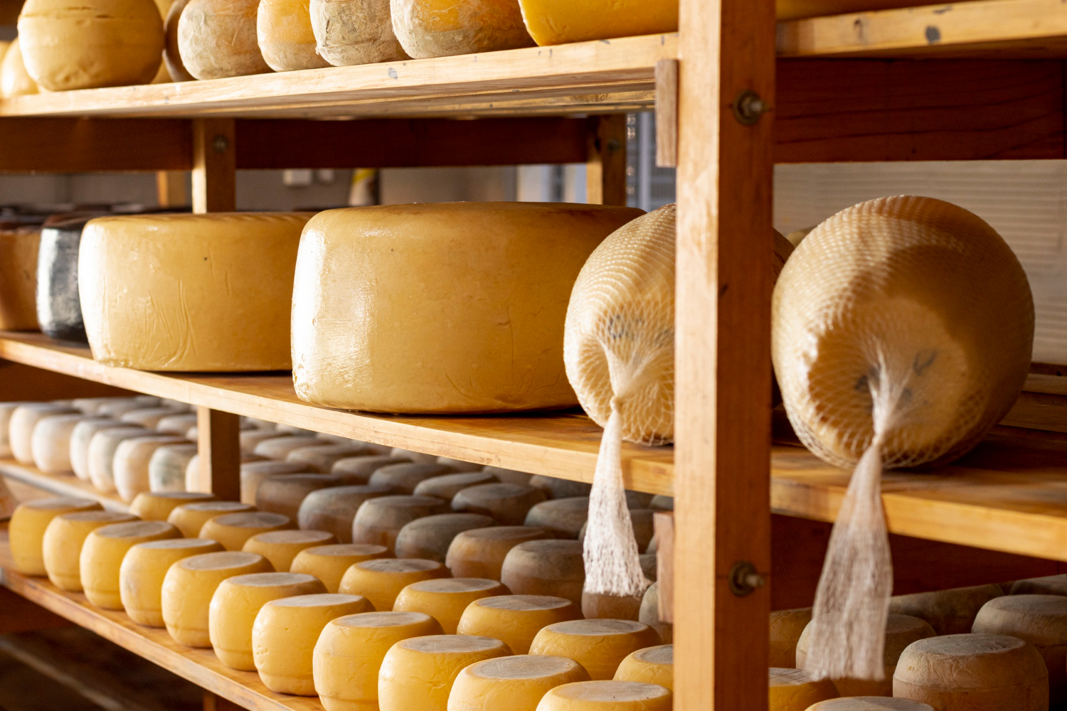 Cheese storages