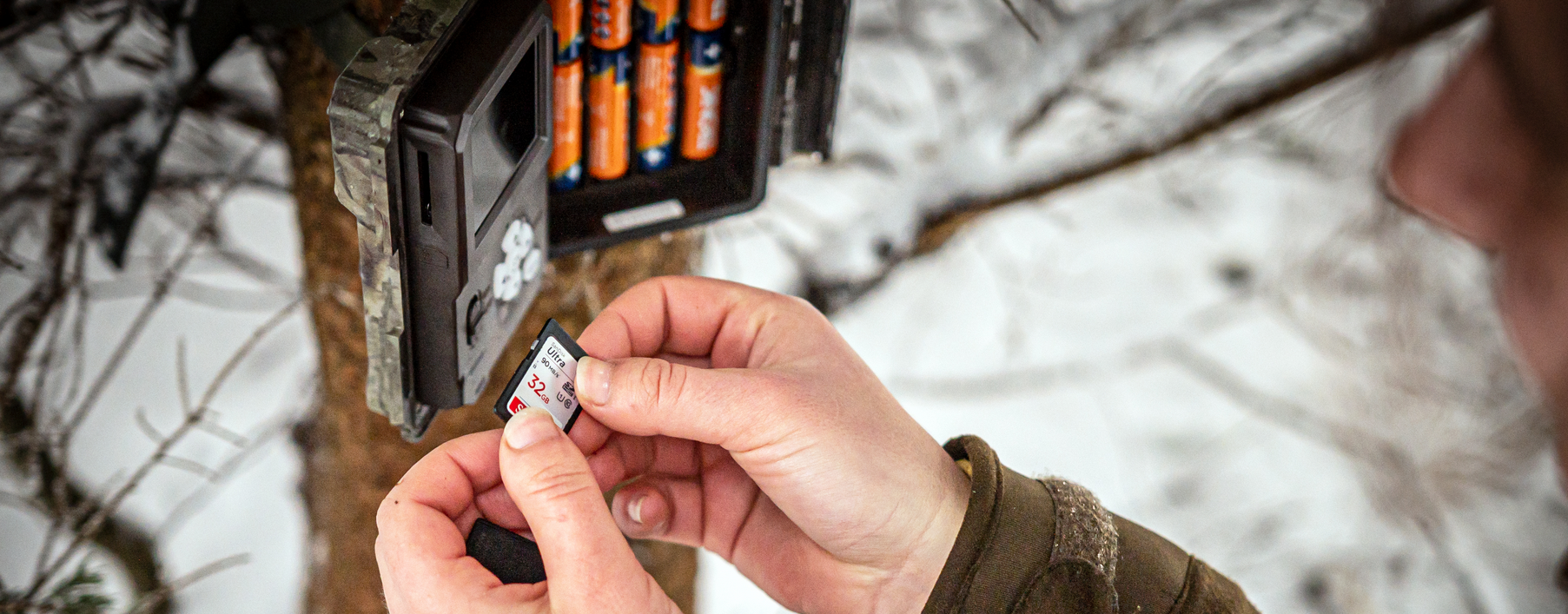 Camera trap - Jana Kloučková Kudrnová