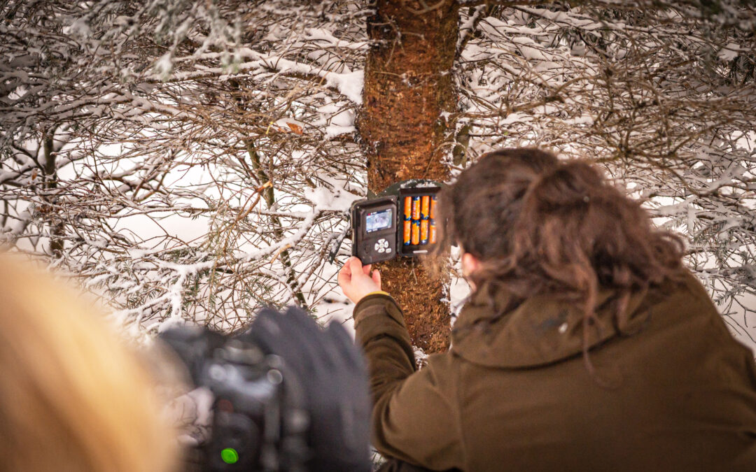 Camera traps: Tips from Experts