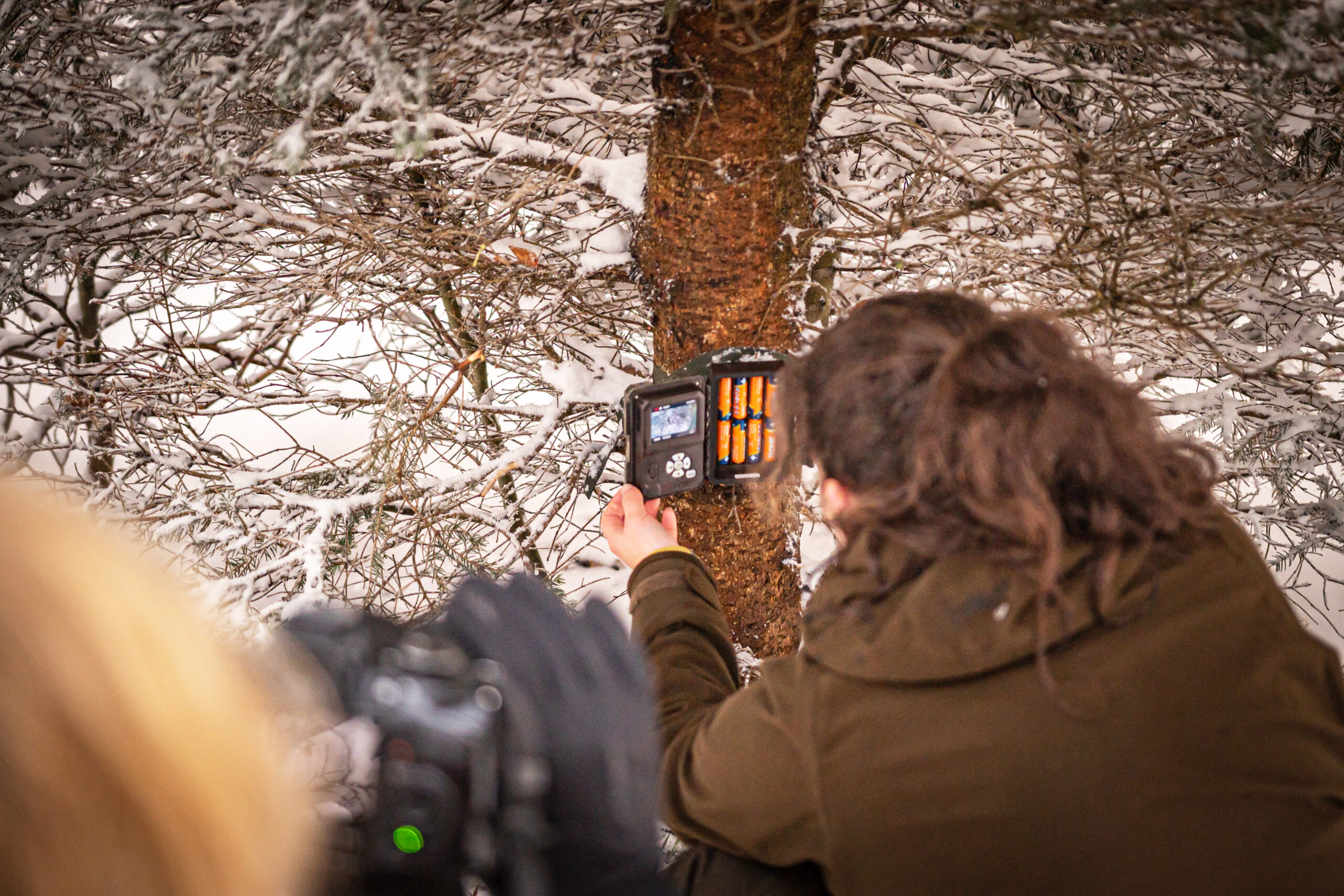 Camera trap installation - Jana Kloučková Kudrnová