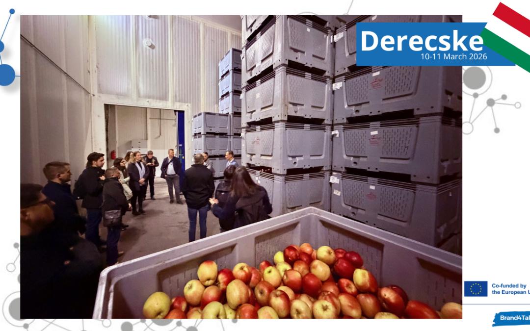 Learning from inspiring local practices