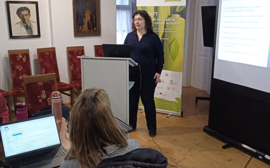 Vasvár business models workshop