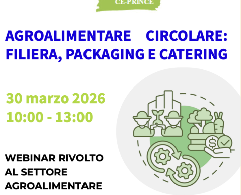 ECO-DESIGN AND CIRCULARITY CRITERIA  IN THE  MANUFACTURING SECTOR