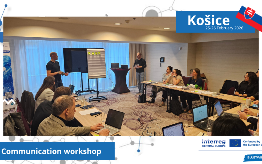 BlueTwin-CE Governance Workshop Successfully Held