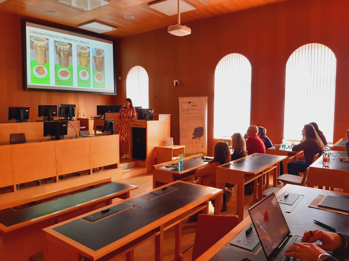 Meeting in Budweis 2