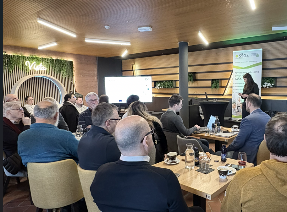 Slovenian national workshop on hydrogen planning and bussiness models