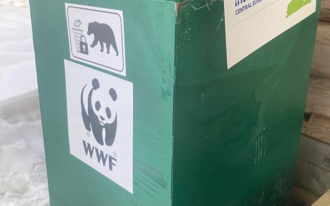 On the Way to Closing the Bear Buffet