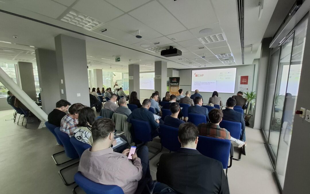 Conference on the Transition of Heating and Cooling Systems Held at the Energy Institute Hrvoje Požar
