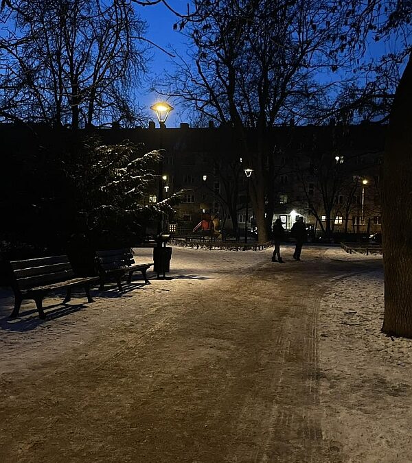 Wroclaw (PL) – winter field observations – second edition