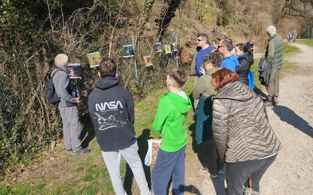 Revitalization of Kranj’s Old Town – Eco Week 2026 Summary