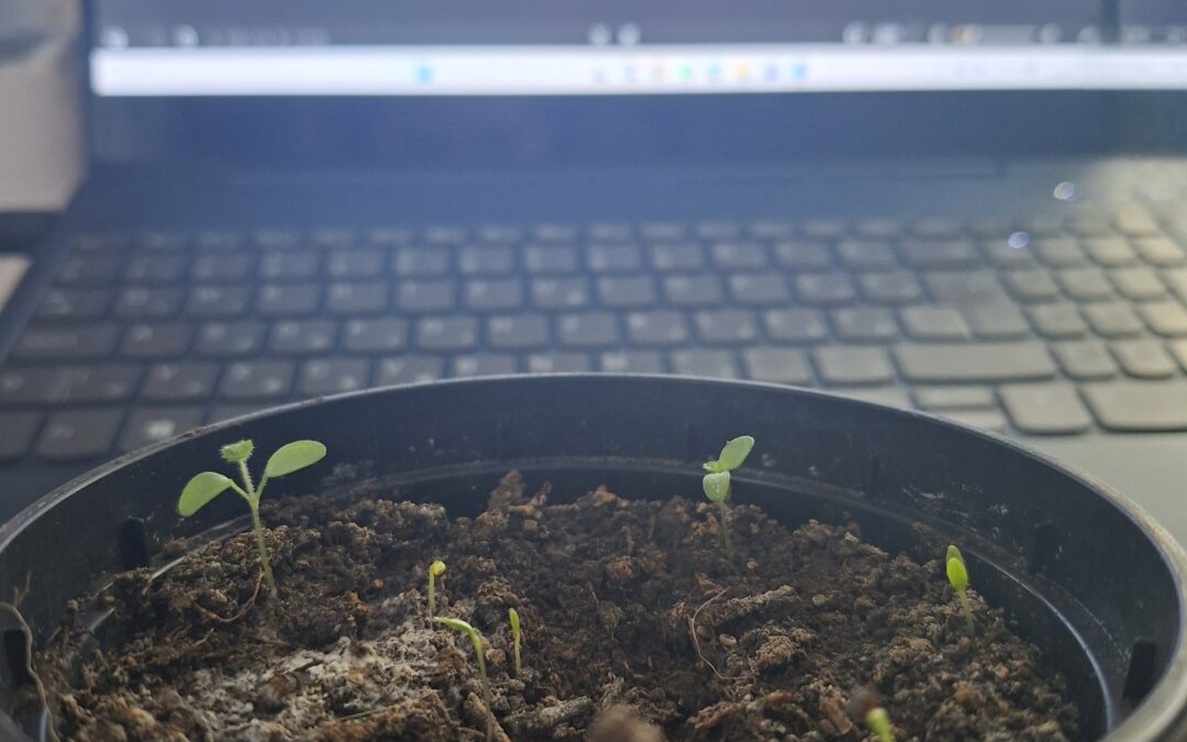 Do you remember how magical our kick-off meeting badges were?