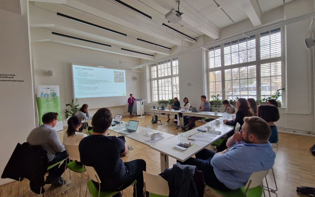 Kick off workshop of the CEN/WS “RBE Assessment System: Climate Risk Evaluation at Building and Neighbourhood scale