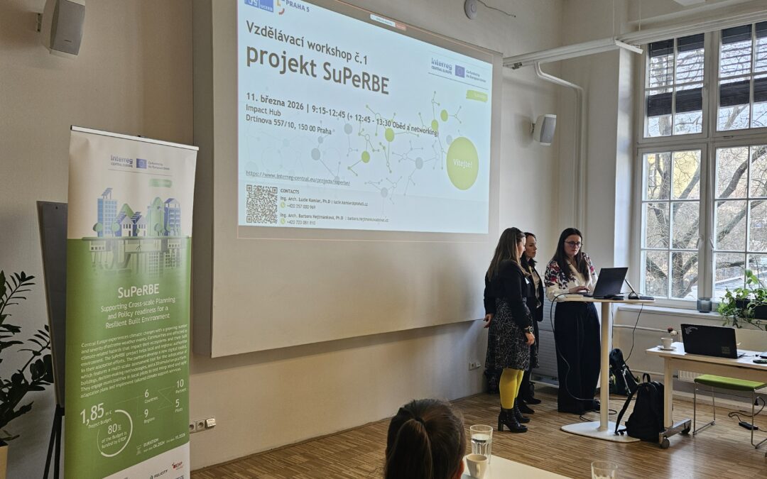 SuPeRBE Workshop #1: Adapting Buildings and Cities to Climate Change