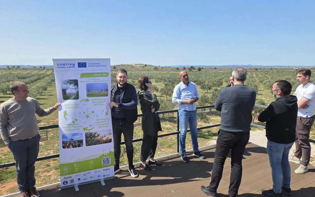 Workshops and Study Visit in Zadar County | 10–11 April 2026