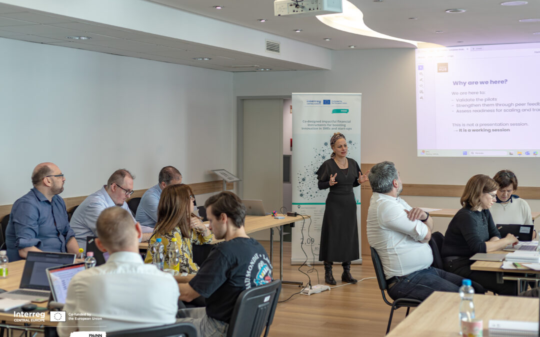 FI4INN Partners Validate Innovative Financing Solutions at Exchange of Experience in Budapest