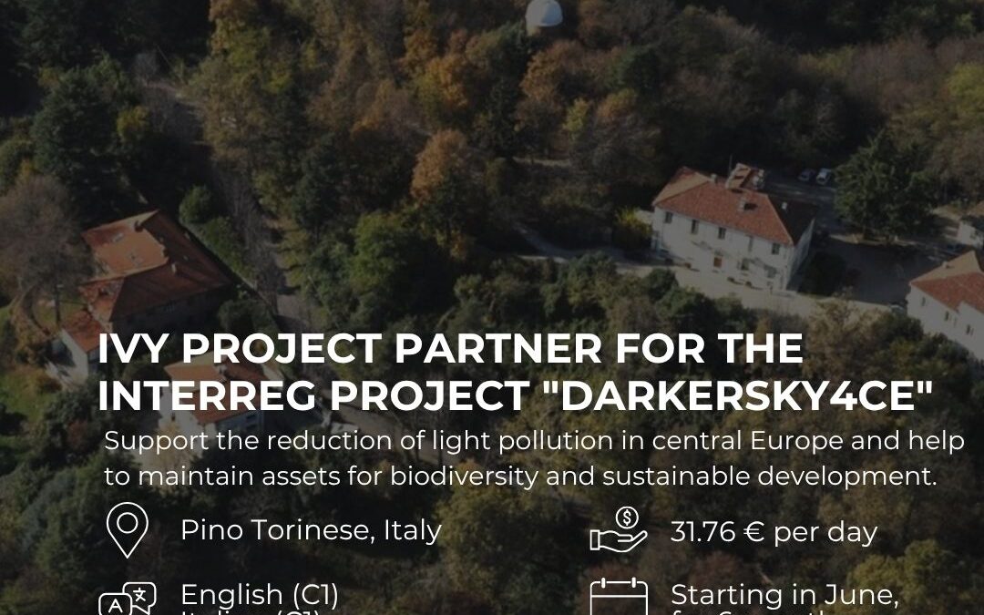 We are looking for an IVY volunteer