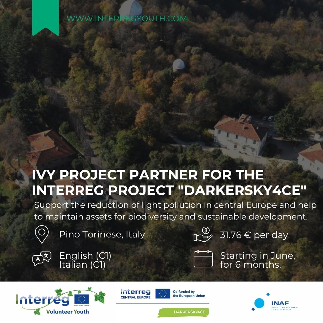 We are looking for an IVY volunteer - Interreg Central Europe